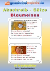 Abschreibsätze_Blaumeisen_Grundschrift.pdf